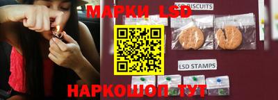 spice Усть-Джегута