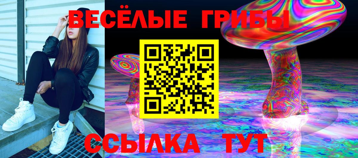 Галлюциногенные грибы мухоморы Мелеуз